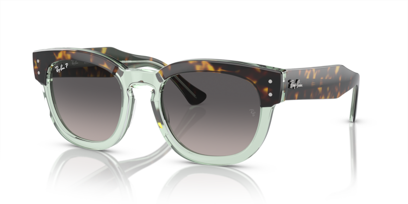 RAY BAN 0298S 1376M3