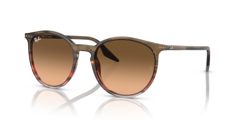 RAY BAN 2204 13953B