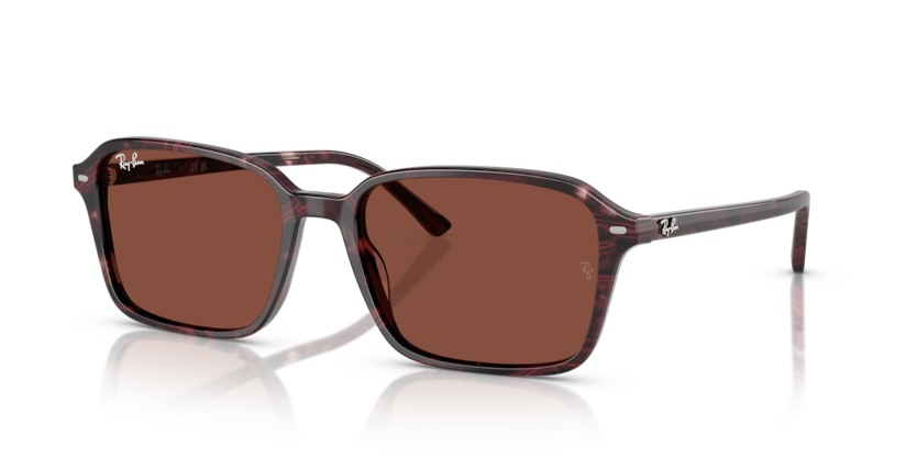 RAY BAN 2231 1416C5