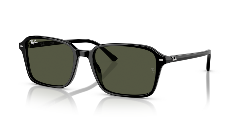 RAY BAN 2231 90131