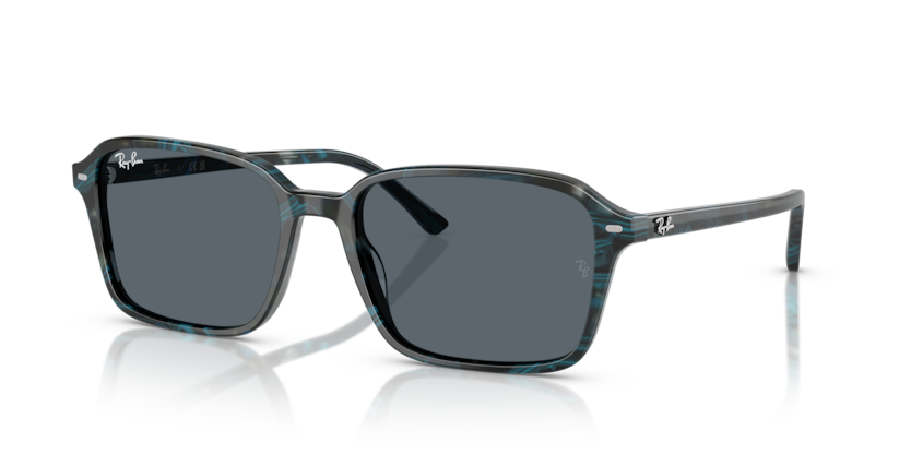 RAY BAN 2231F 1417R5