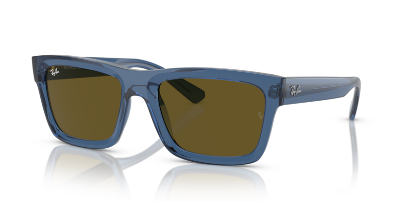 RAY BAN 4396F 668073