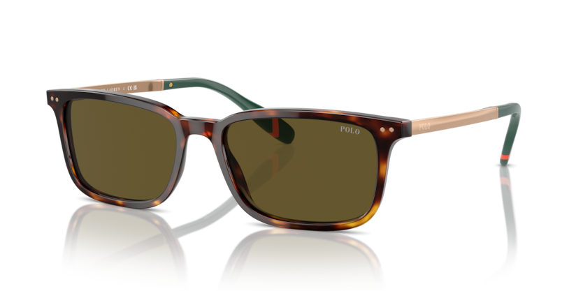  olive green/shiny brown tortoise