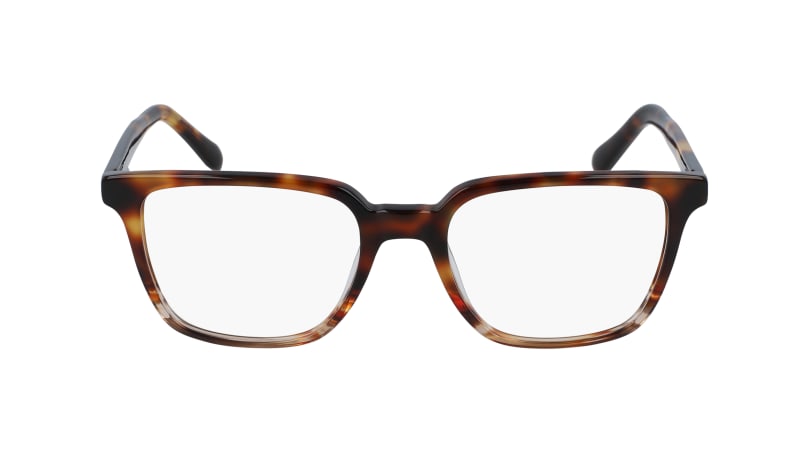  clear lenses/brown tortoise